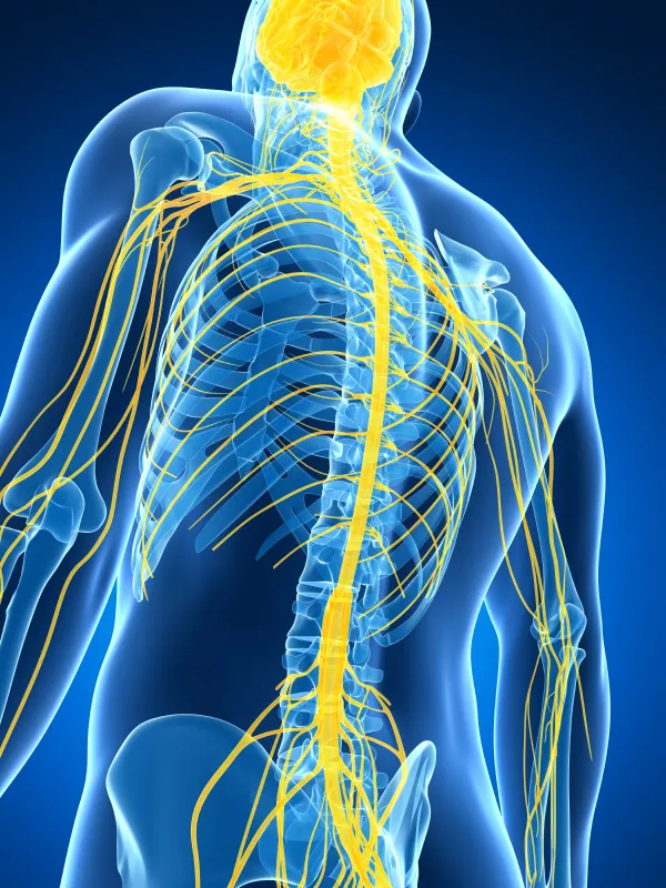 Massage Therapy PB · Photos 9